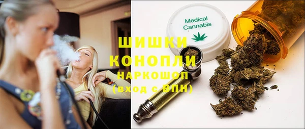 крисы Армянск